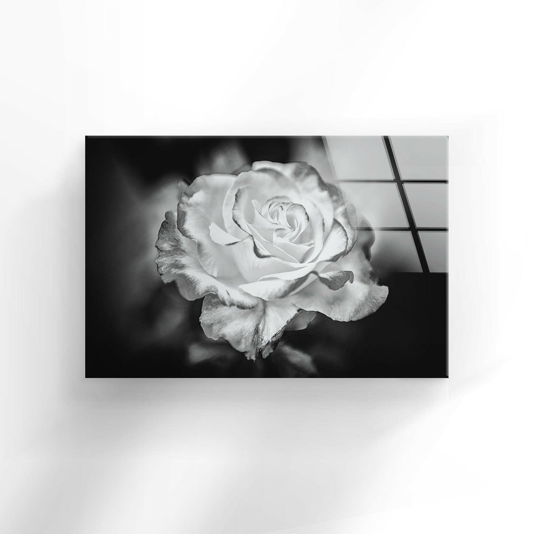 Black - White Rose Glass Wall Art, glass image printing, glass prints from photos