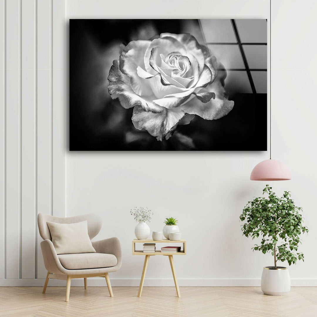 Black - White Rose Glass Wall Art, glass photo prints, glass picture prints