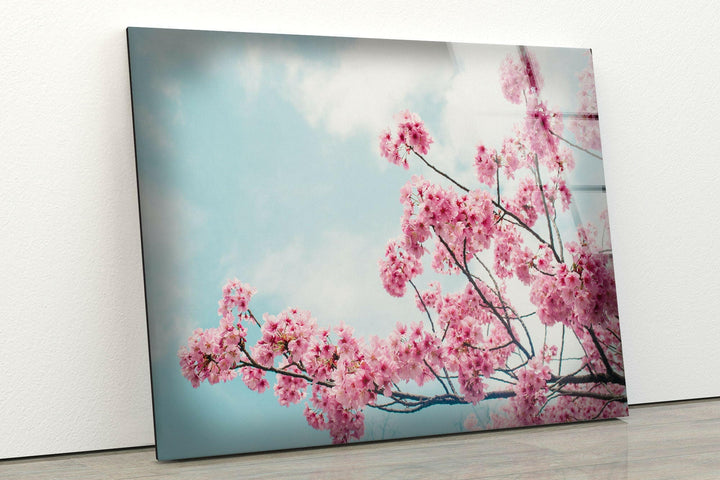 Japanese Cherry Blossom Tempered Glass Wall Art - MyPhotoStation