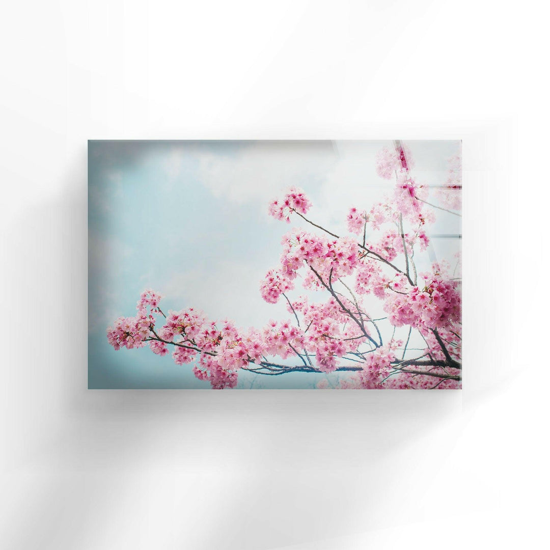 Japanese Cherry Blossom Tempered Glass Wall Art - MyPhotoStation