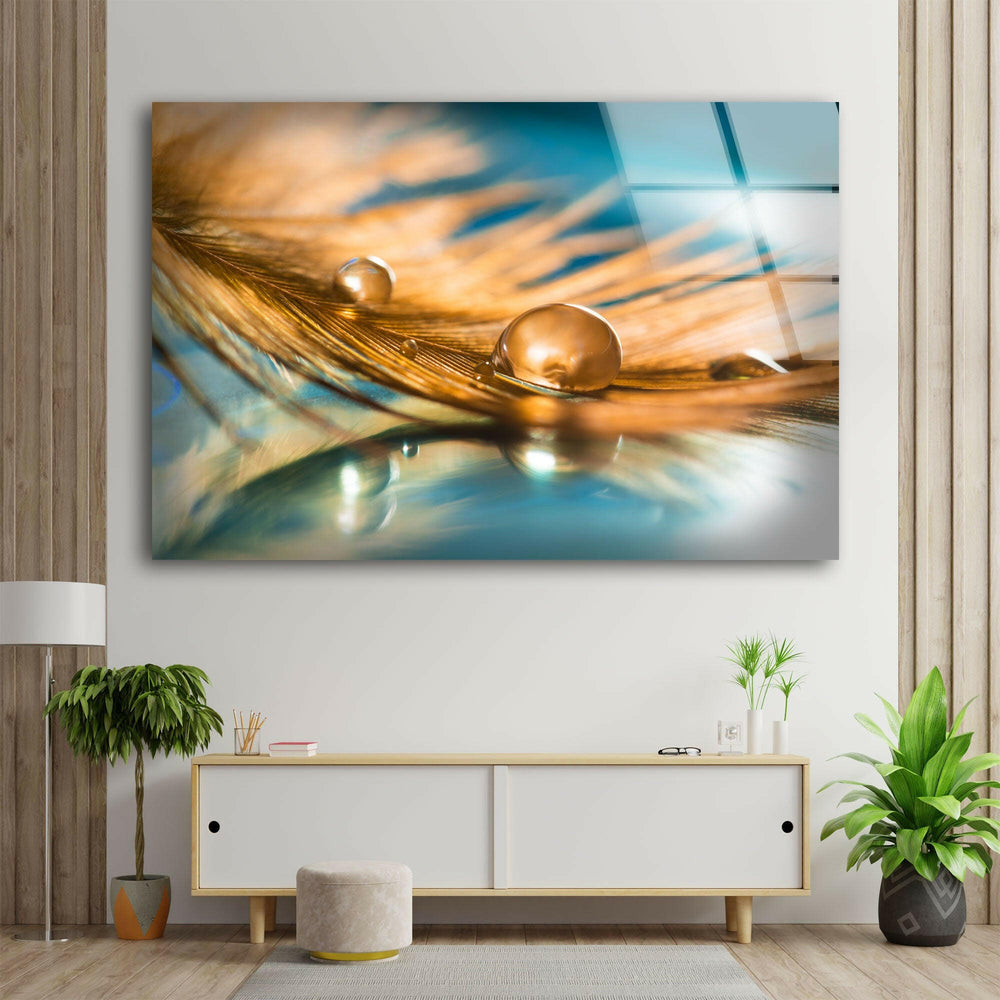 Golden Drop on the Feather Glass Printing Wall Arts