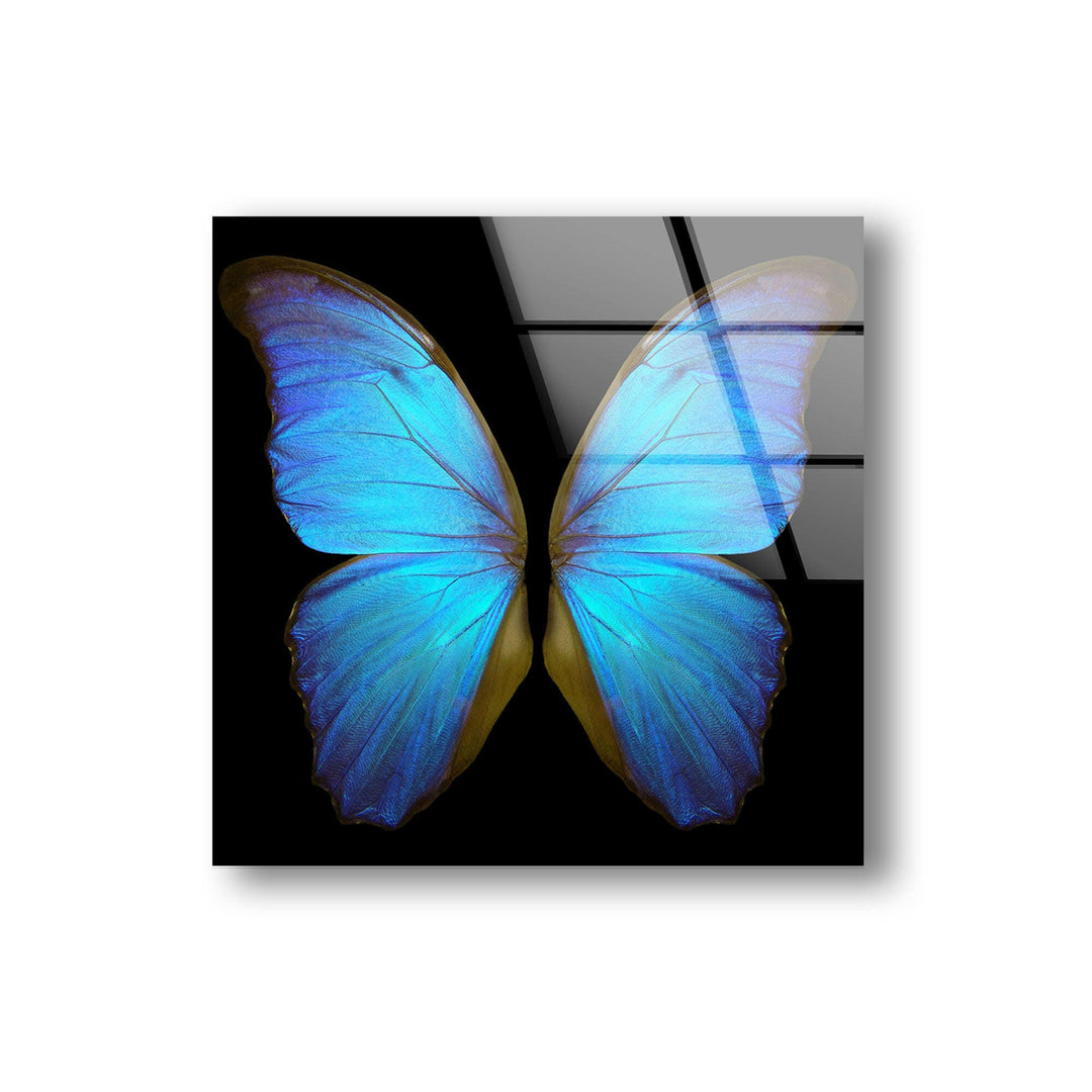 Blue Butterfly Glass Wall Art large glass photo prints, glass wall photos