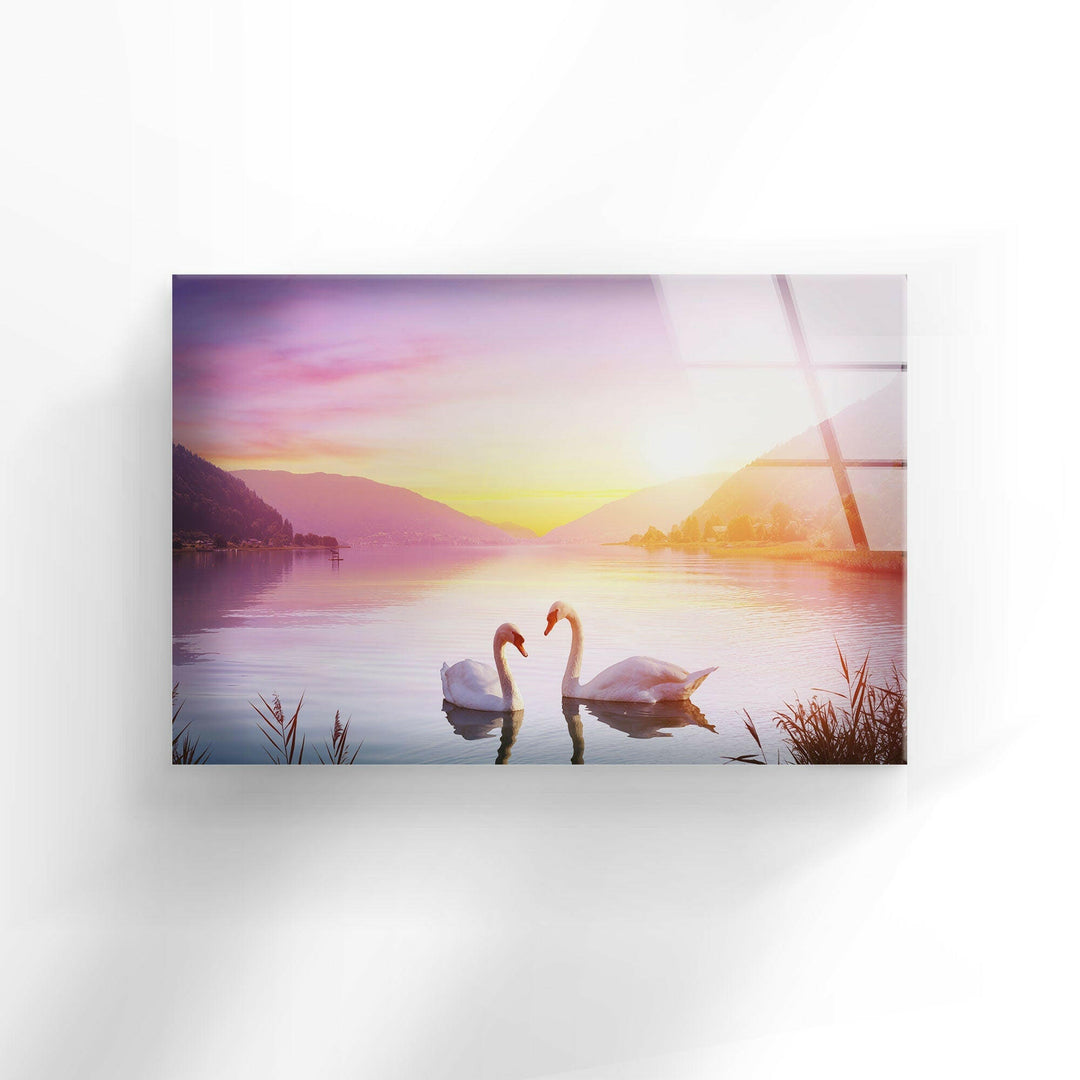 Swan Sunset Glass Wall Art picture on glass wall art, photos printed on glass