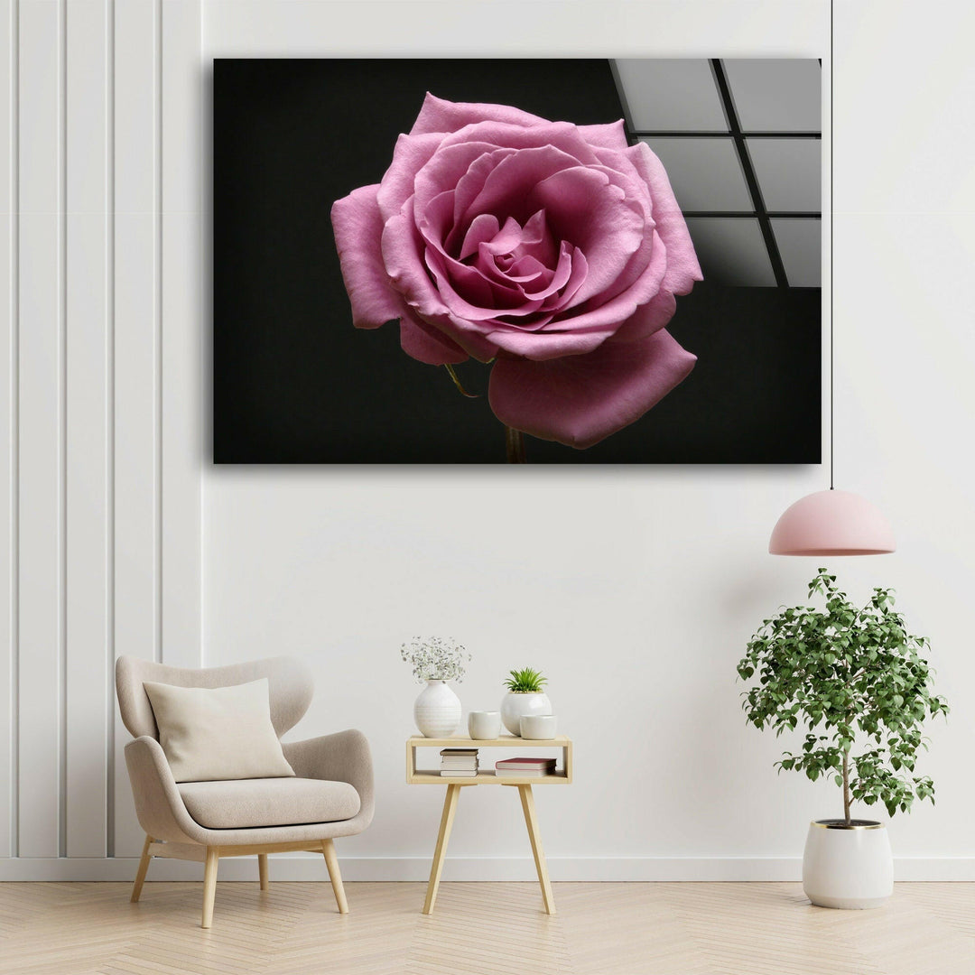 Pink Rose On Black Glass Wall Art, glass wall decor, glass wall art decor