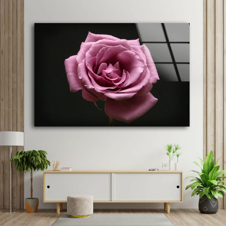 Pink Rose On Black Glass Wall Art, glass image printing, glass prints from photos