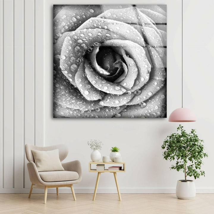 Black and White Rose Glass Wall Art, glass pictures for Wall, glass prints wall art