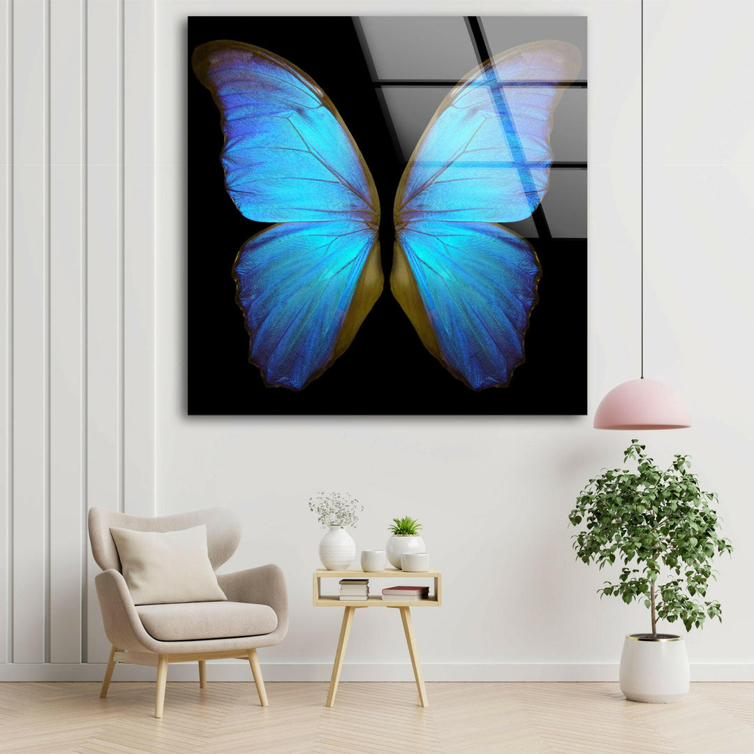 Blue Butterfly Glass Wall Art photo print on glass, prints on glass wall art