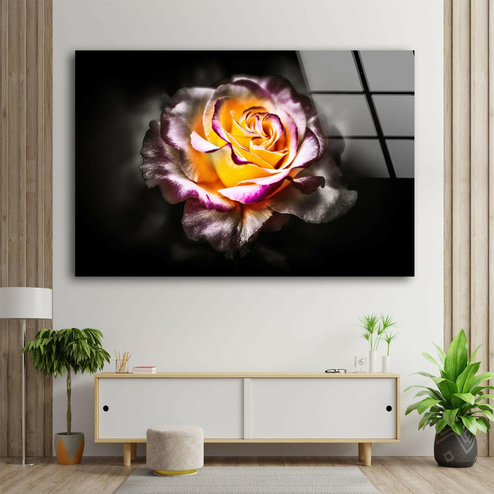 Yellow & Red Rose Glass Wall Art, large glass photo prints, glass wall photos