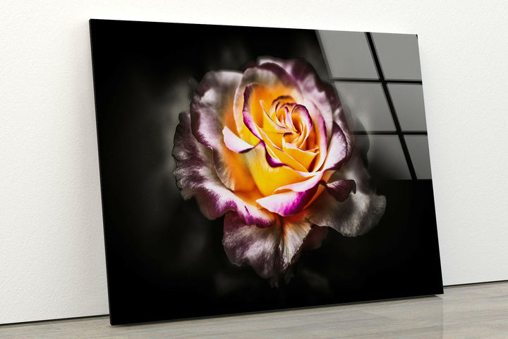 Yellow & Red Rose Glass Wall Art, custom glass photo prints, large glass prints