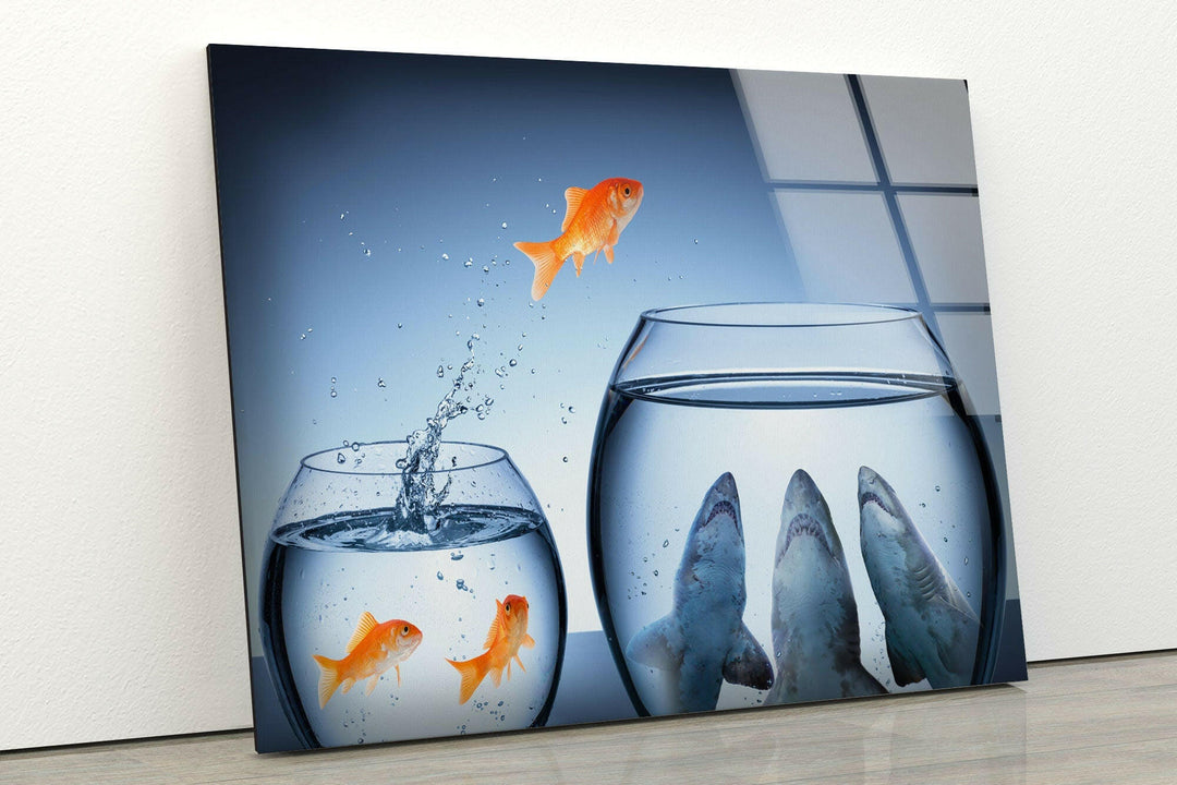 Goldfish Shark Glass Wall Art photo print on glass, prints on glass wall art