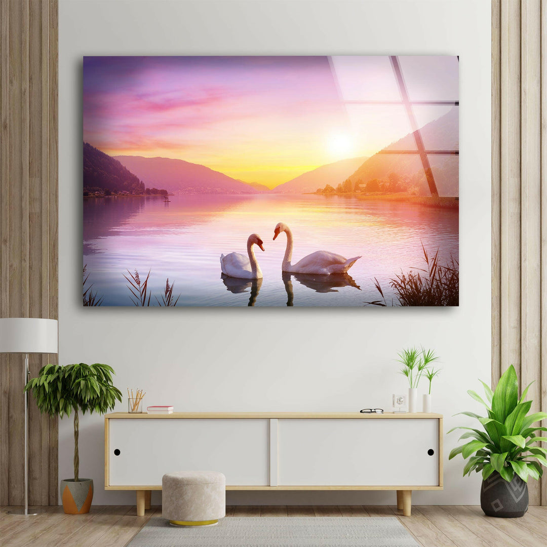 Swan Sunset Glass Wall Art large glass photo prints, glass wall photos