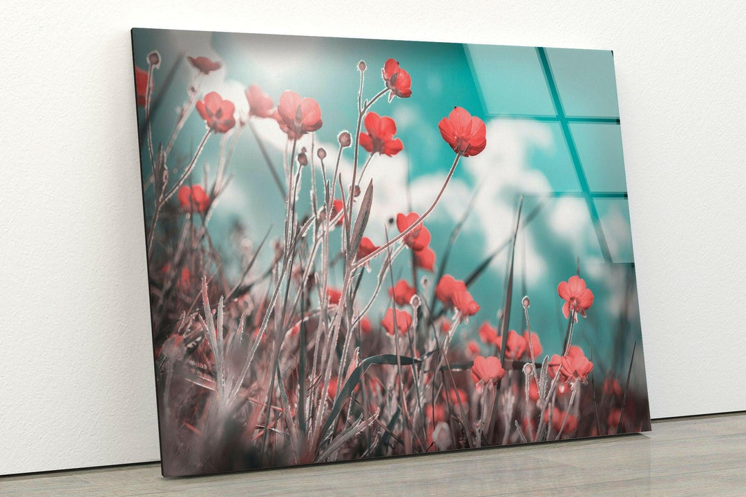 Red Poppies Glass Wall Art, Glass Printing Wall Art, Print photos on glass