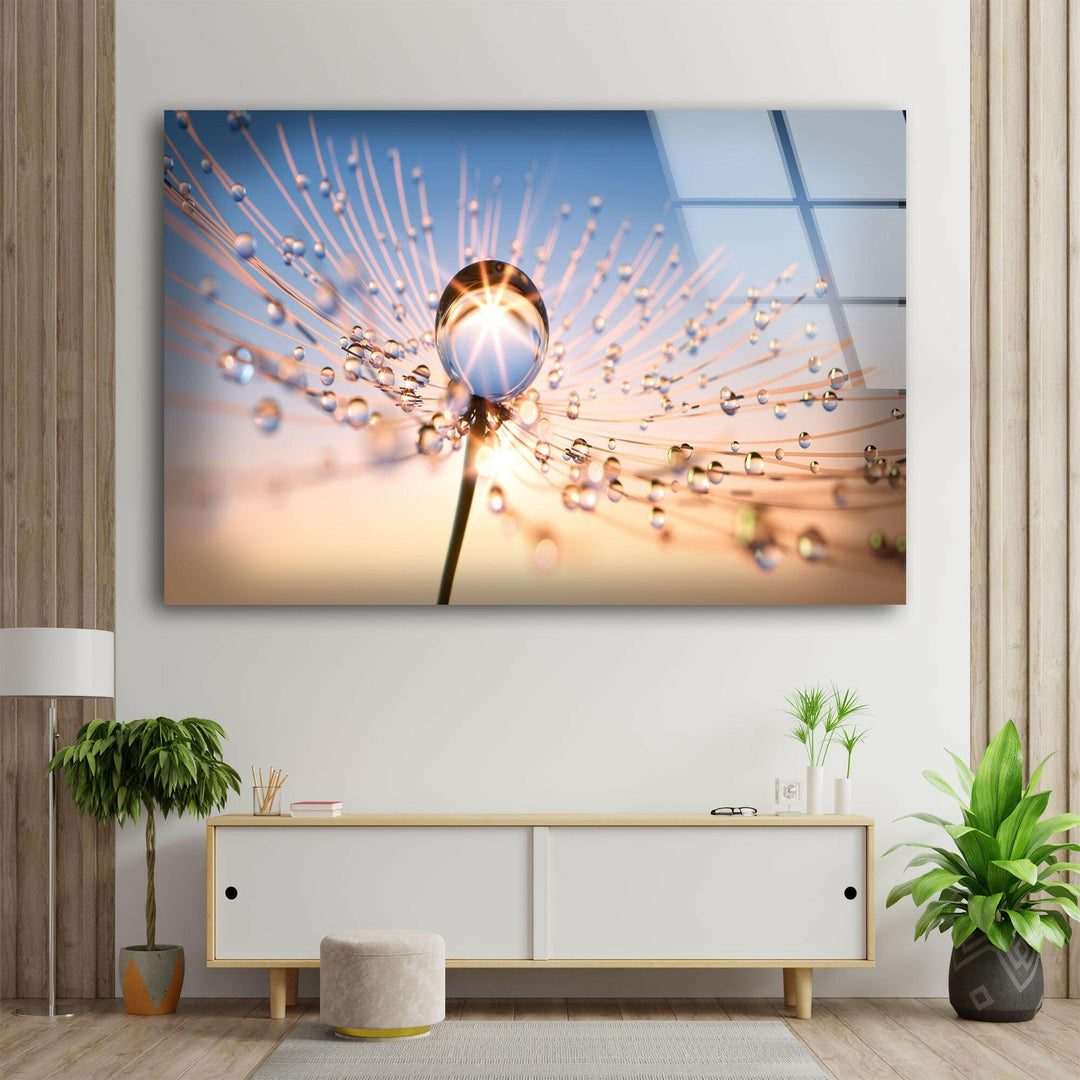 At Sun Drops on Dandelion Glass Wall Art, custom glass pictures, glass art prints