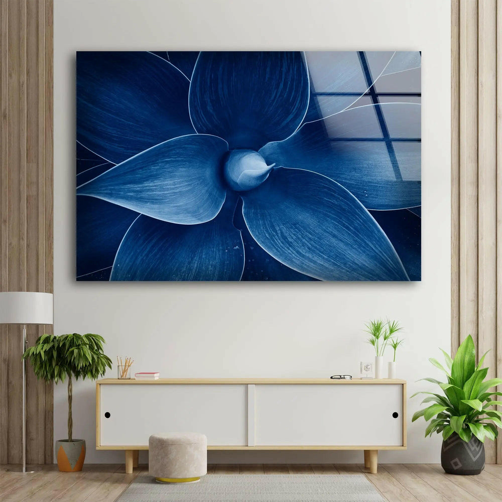 Blue Agave Closeup Glass Wall Art, picture on glass wall art, photos printed on glass