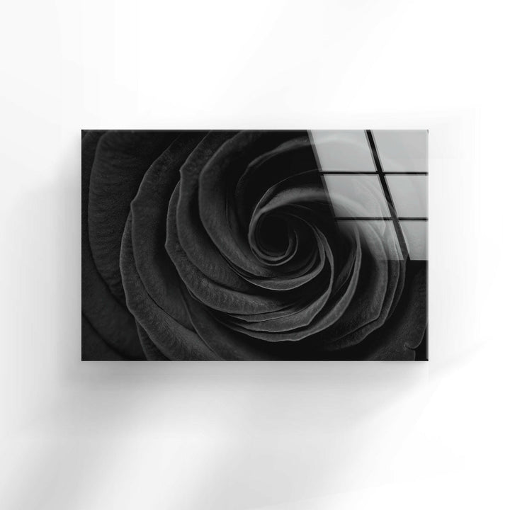 Black Rose Glass Wall Art, glass photo prints, glass picture prints