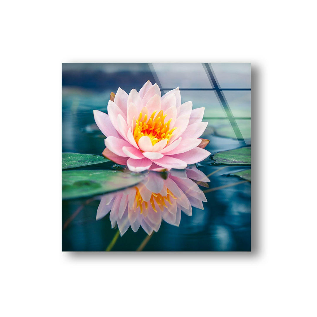 Pink Lotus Flower Glass Wall Art, art glass wall art, glass wall art pictures