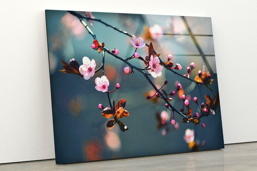 Sakura Cherry Blossom Glass Wall Art, glass photo prints, glass picture prints