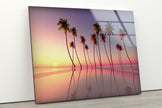 Palm Trees and Beach Tempered Glass Wall Art