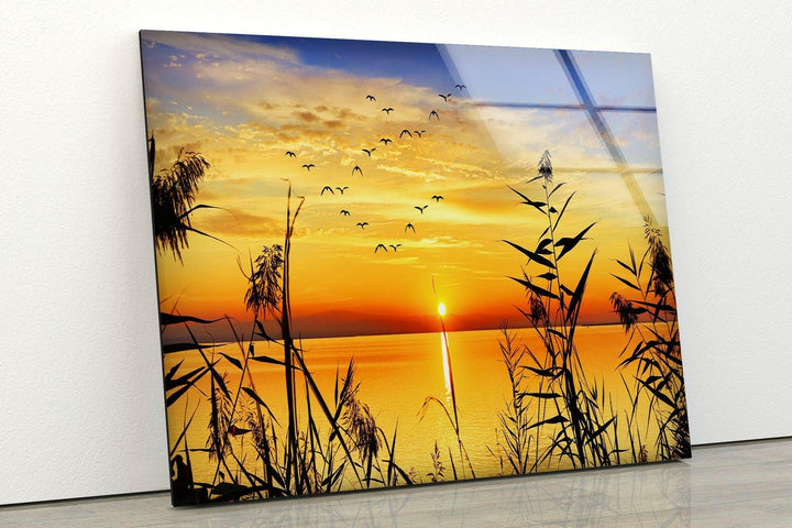 Grass Upon Water By Sunset Glass Wall Art