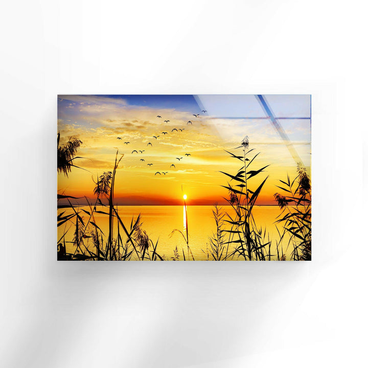 Grass Upon Water By Sunset Glass Wall Art