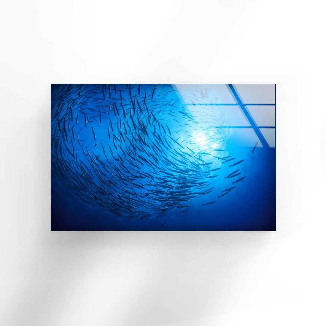 Under Ocean Fishes Glass Wall Art picture on glass wall art, photos printed on glass