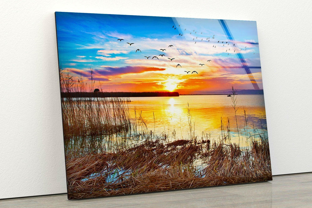 Sunset Over a Lake With Grass Glass Wall Art