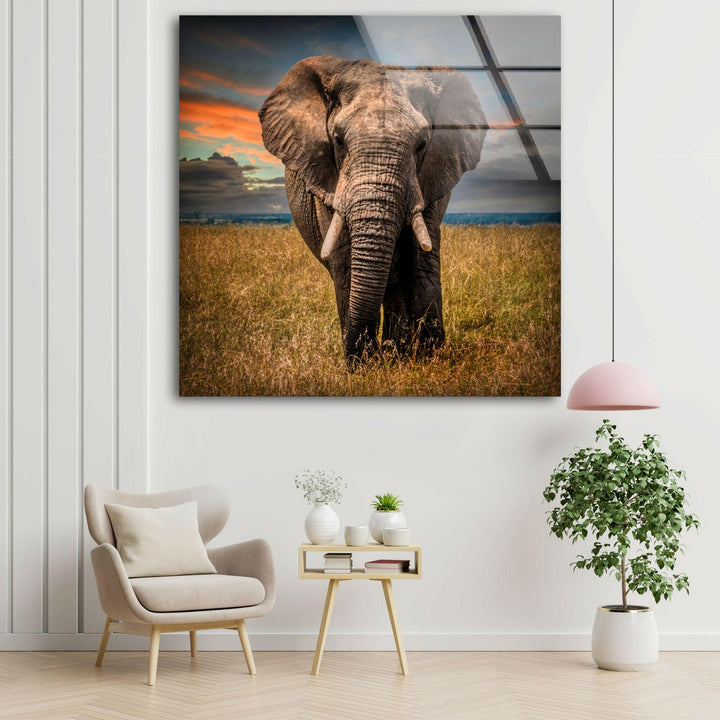 Majestic Elephant Glass Wall Art glass image printing, glass prints from photos