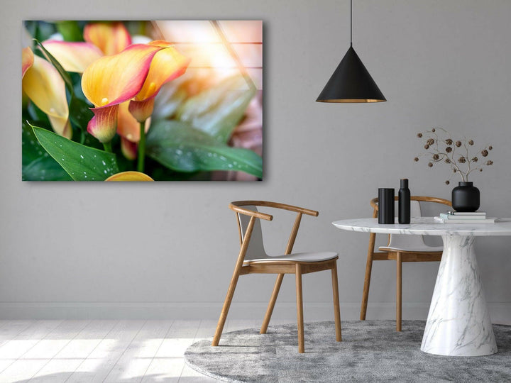 Colorful Calla Lilies Glass Wall Art, glass photo prints, glass picture prints