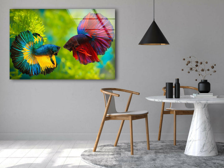 Colorful Beta Fishes Glass Wall Art picture on glass wall art, photos printed on glass