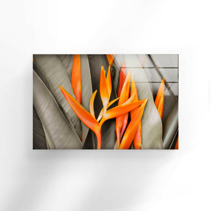 Orange Flower Glass Wall Art, glass pictures for Wall, glass prints wall art