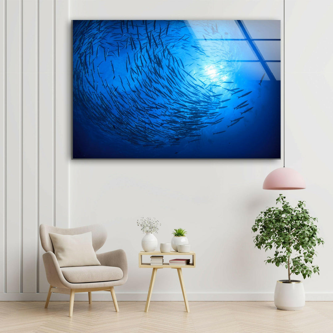 Under Ocean Fishes Glass Wall Art large glass photo prints, glass wall photos