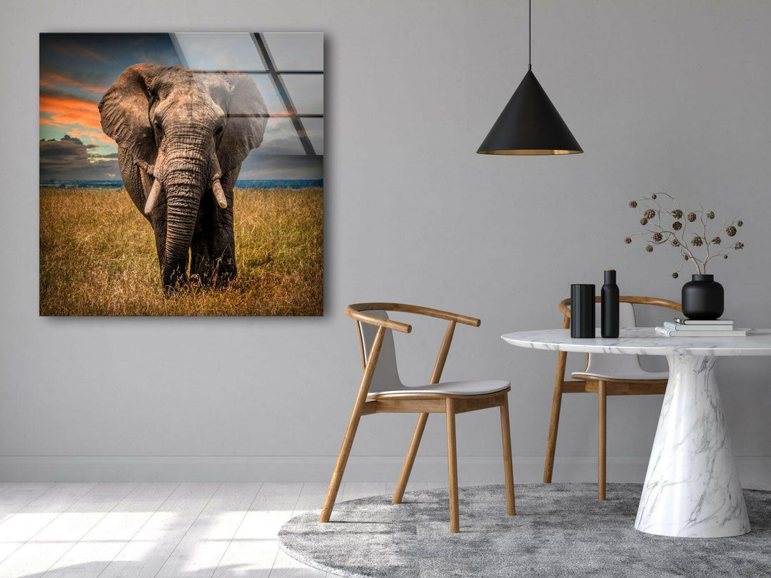 Majestic Elephant Glass Wall Art glass pictures for Wall, glass prints wall art