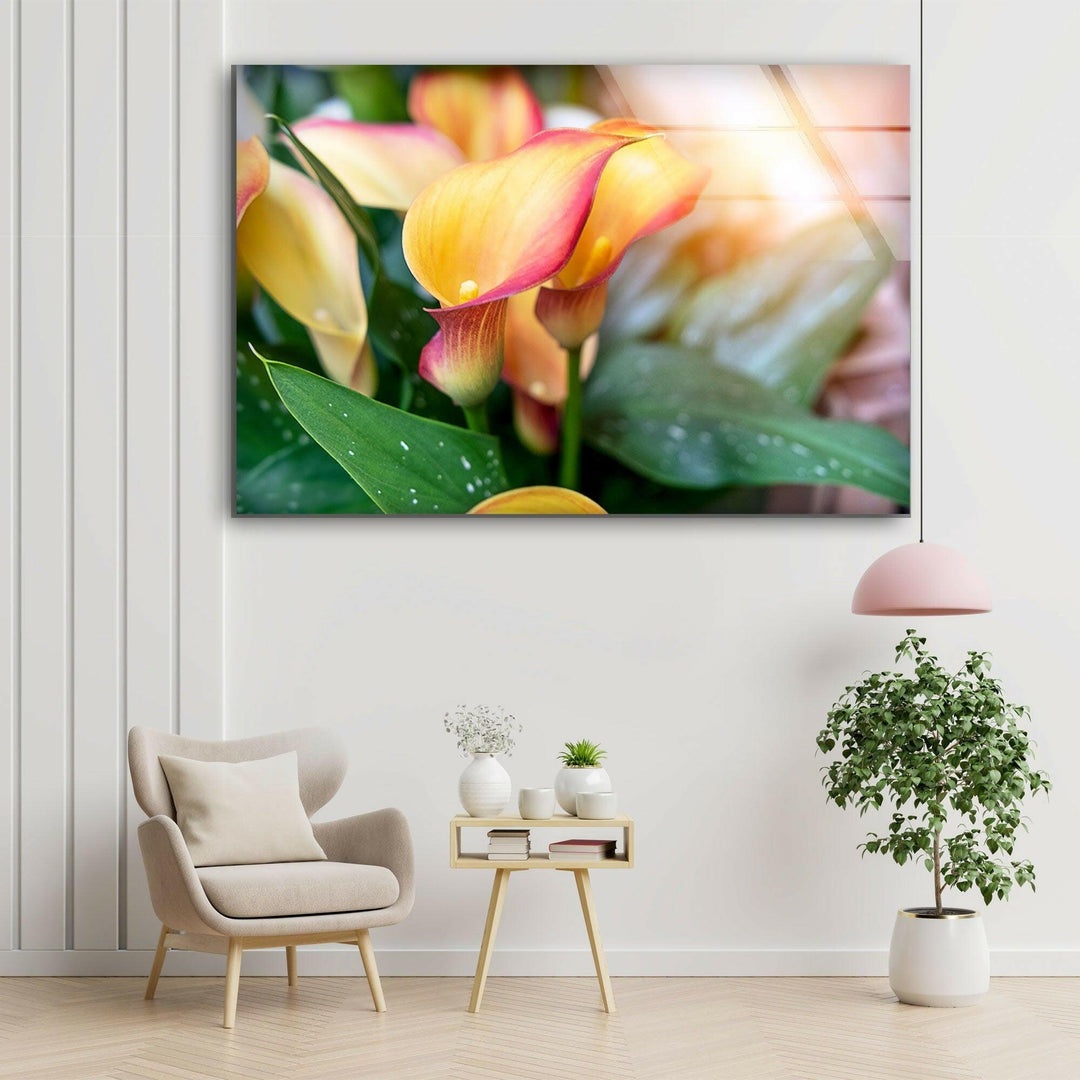 Colorful Calla Lilies Glass Wall Art, glass wall decor, glass wall art decor