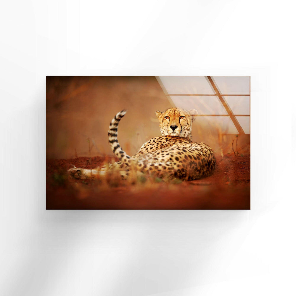 Cheetah in The Savanna Glass Wall Art print on glass, glass printed photos