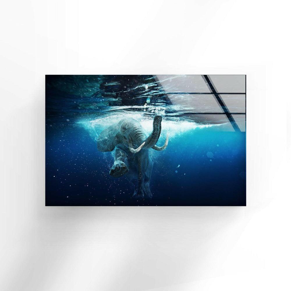 Swimming Elephant Glass Wall Art print on glass, glass printed photos