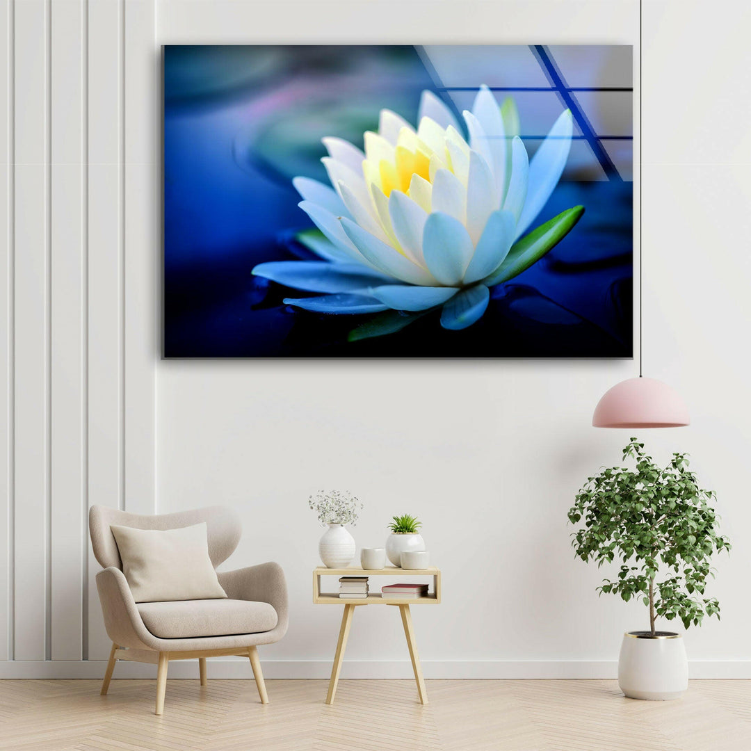 White Water Lotus Glass Wall Art, picture on glass wall art, photos printed on glass