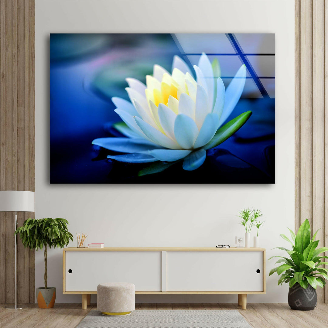 White Water Lotus Glass Wall Art, large glass photo prints, glass wall photos