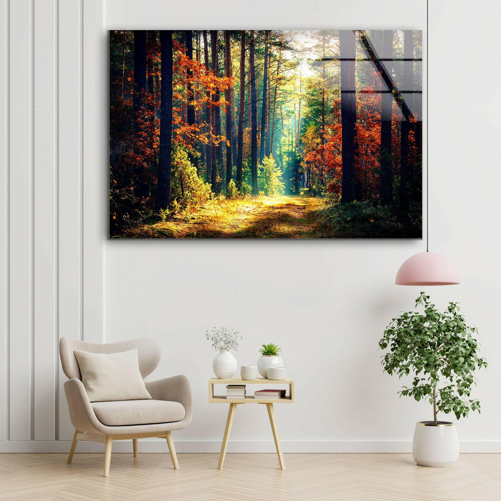 Nature Green Forest Glass Wall Art print picture on glass, Tempered Glass Wall Art