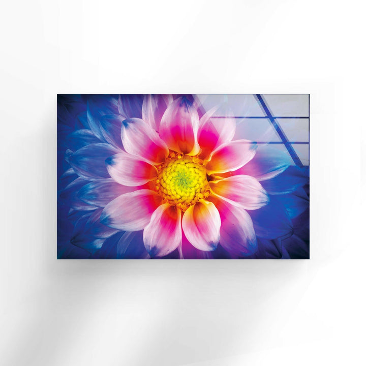 Colorful Chrysanthemum Flower Glass Wall Art, custom glass pictures, glass art prints