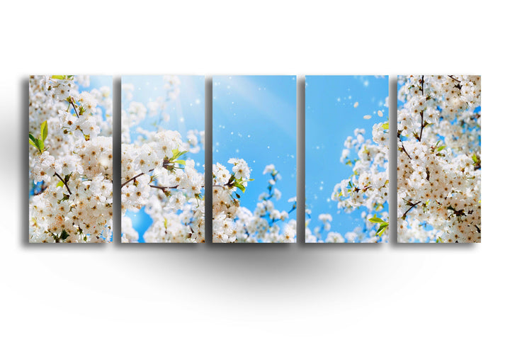 Spring White Blossom Tree Glass Wall Art, print picture on glass, Tempered Glass Wall Art