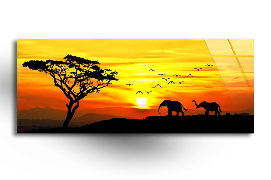 Savanna Sunset & Elephant Glass Wall Art, glass photo prints, glass picture prints