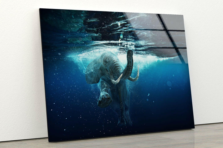 Swimming Elephant Glass Wall Art print picture on glass, Tempered Glass Wall Art