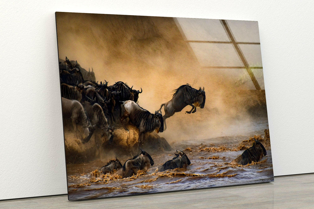 Wildebeests Running on Safari Glass Wall Art photo print on glass, prints on glass wall art