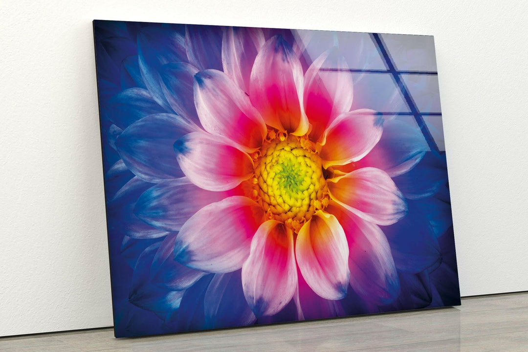 Colorful Chrysanthemum Flower Glass Wall Art, glass image printing, glass prints from photos