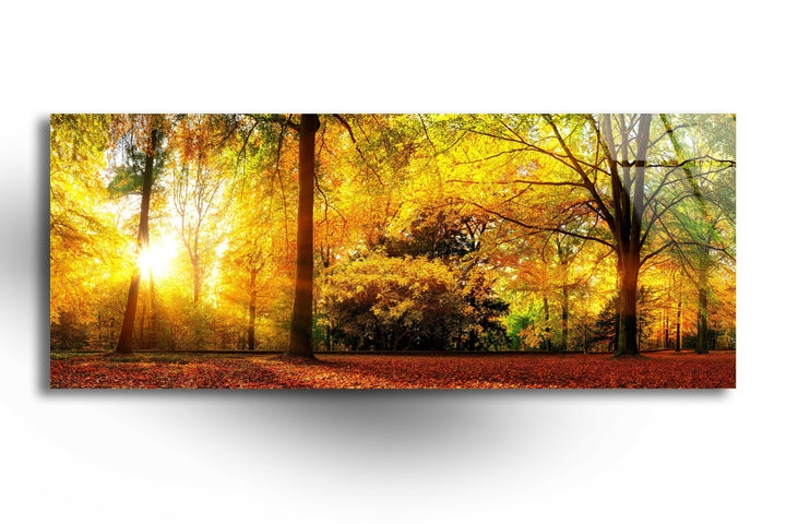 Autumn Nature Landscape Glass Wall Art, custom glass photo prints, large glass prints