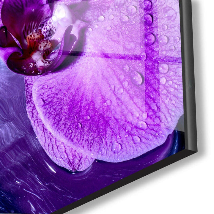 Purple Blooming Orchid Glass Wall Art, glass wall decor, glass wall art decor