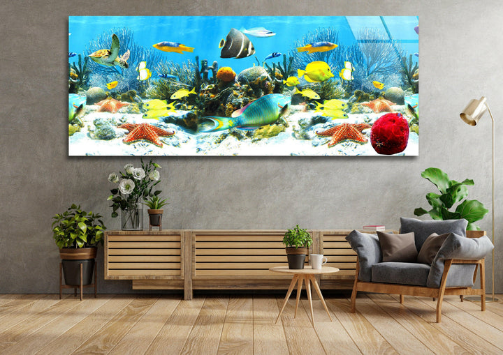 Colorful Tropical Fishes Glass Wall Art, photo print on glass, prints on glass wall art