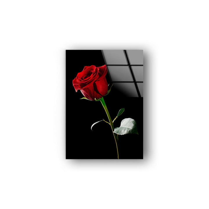 Single Red Rose On Black Glass Wall Art, glass pictures for Wall, glass prints wall art