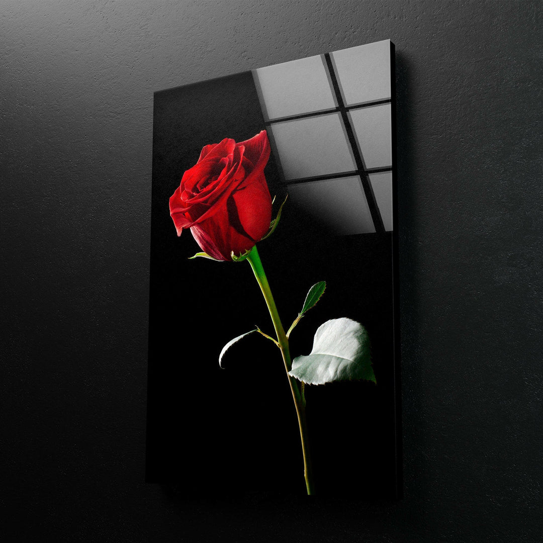 Single Red Rose On Black Glass Wall Art, glass image printing, glass prints from photos