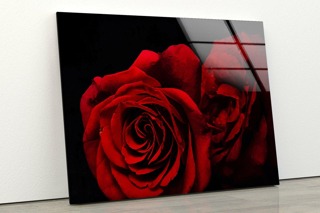 Red Rose Flower On Black Glass Wall Art, glass image printing, glass prints from photos
